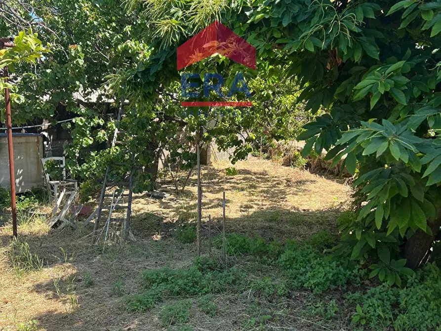 Immagine 6 di Terreno agricolo in vendita  in Via Catira 27 a Catania