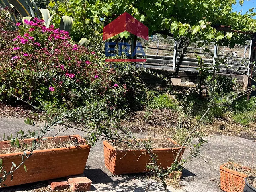 Immagine 8 di Terreno agricolo in vendita  in Via Catira 27 a Catania