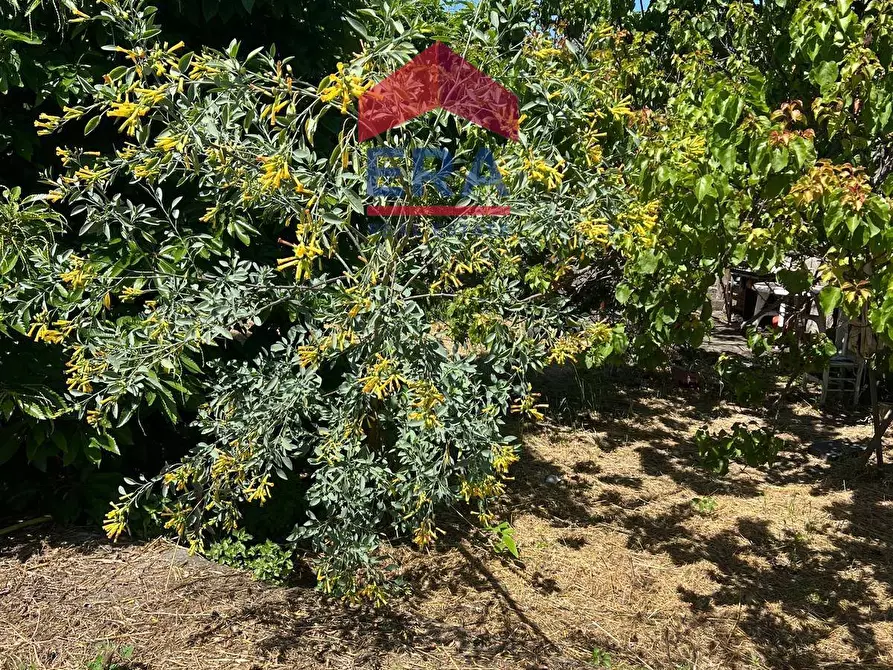 Immagine 9 di Terreno agricolo in vendita  in Via Catira 27 a Catania