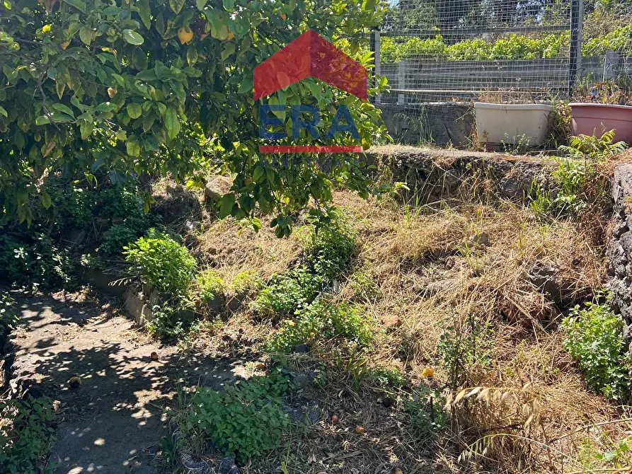 Immagine 11 di Terreno agricolo in vendita  in Via Catira 27 a Catania