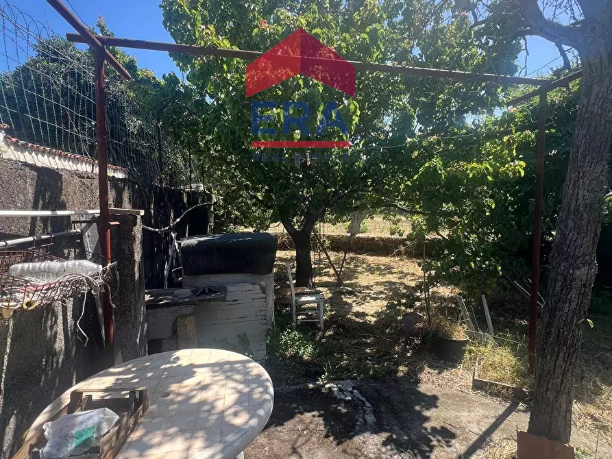 Immagine 16 di Terreno agricolo in vendita  in Via Catira 27 a Catania