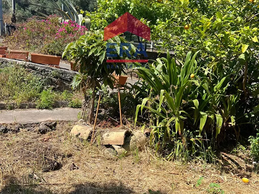 Immagine 17 di Terreno agricolo in vendita  in Via Catira 27 a Catania