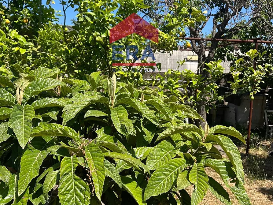 Immagine 20 di Terreno agricolo in vendita  in Via Catira 27 a Catania