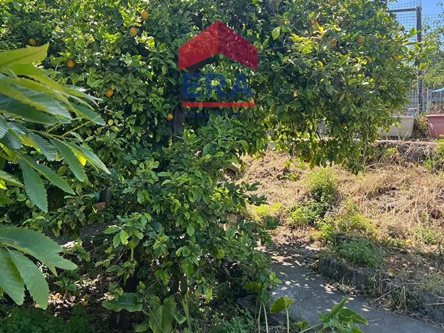 Immagine 21 di Terreno agricolo in vendita  in Via Catira 27 a Catania