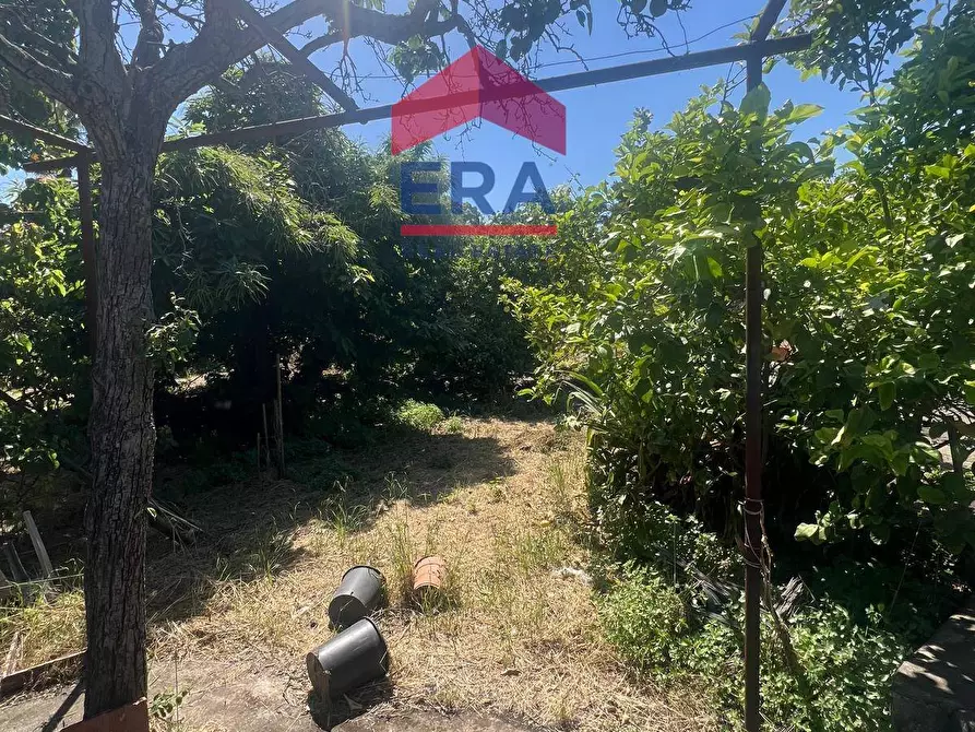 Immagine 24 di Terreno agricolo in vendita  in Via Catira 27 a Catania