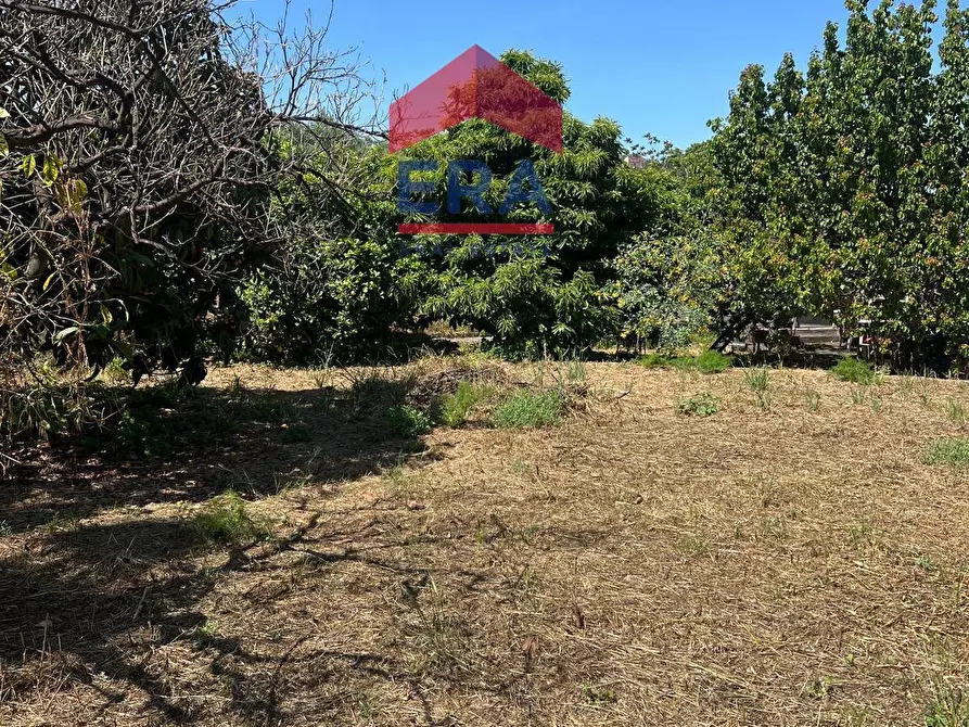 Immagine 25 di Terreno agricolo in vendita  in Via Catira 27 a Catania