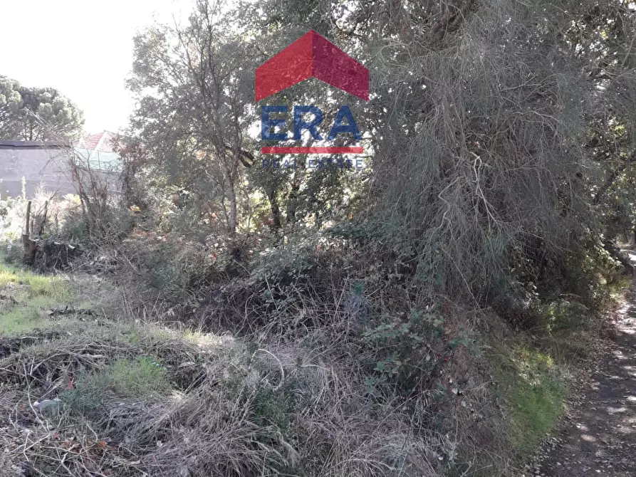 Immagine 1 di Terreno agricolo in vendita  in Via San Nicola a Nicolosi