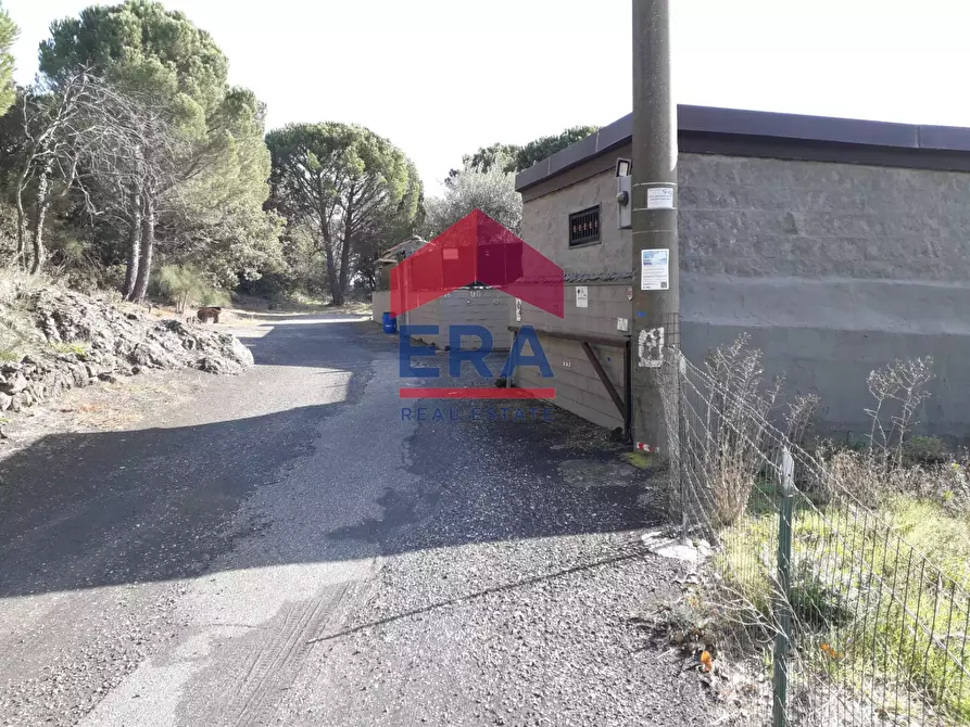 Immagine 3 di Terreno agricolo in vendita  in Via San Nicola a Nicolosi