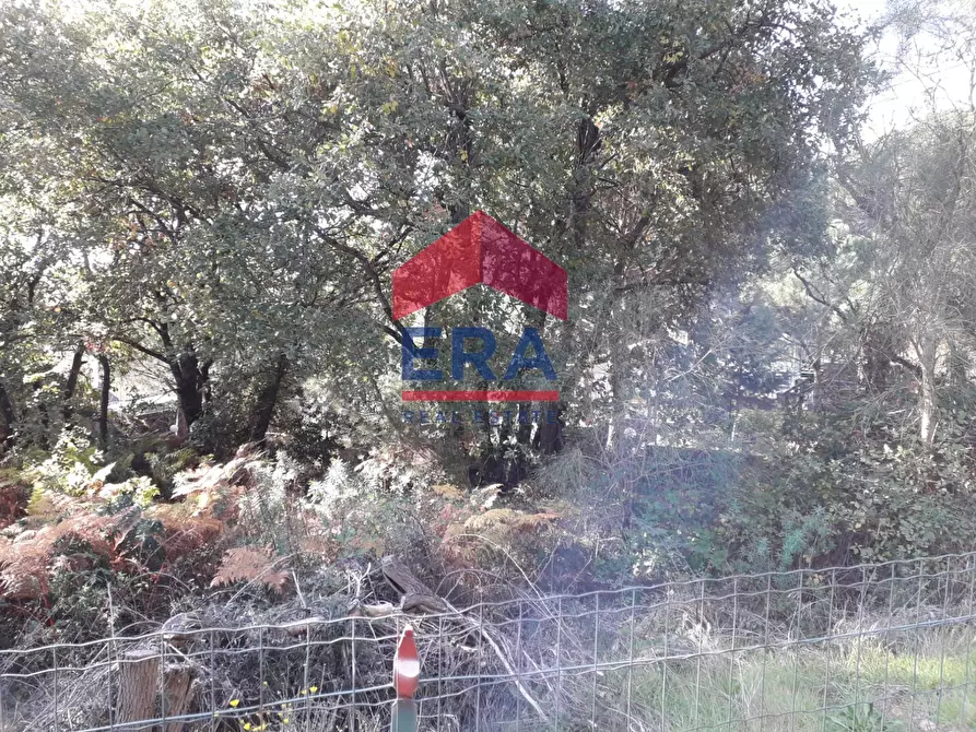 Immagine 4 di Terreno agricolo in vendita  in Via San Nicola a Nicolosi