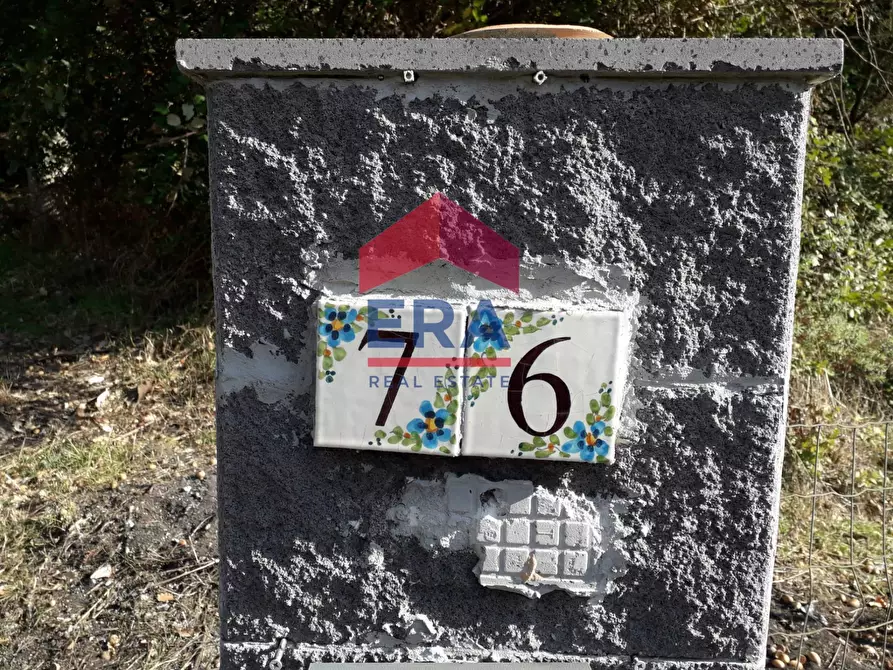 Immagine 5 di Terreno agricolo in vendita  in Via San Nicola a Nicolosi