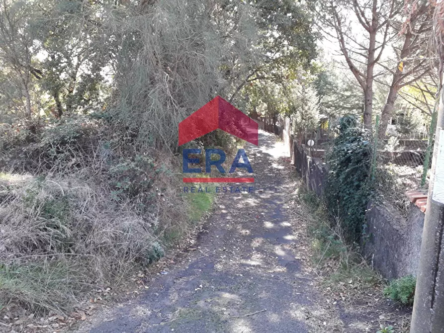 Immagine 6 di Terreno agricolo in vendita  in Via San Nicola a Nicolosi