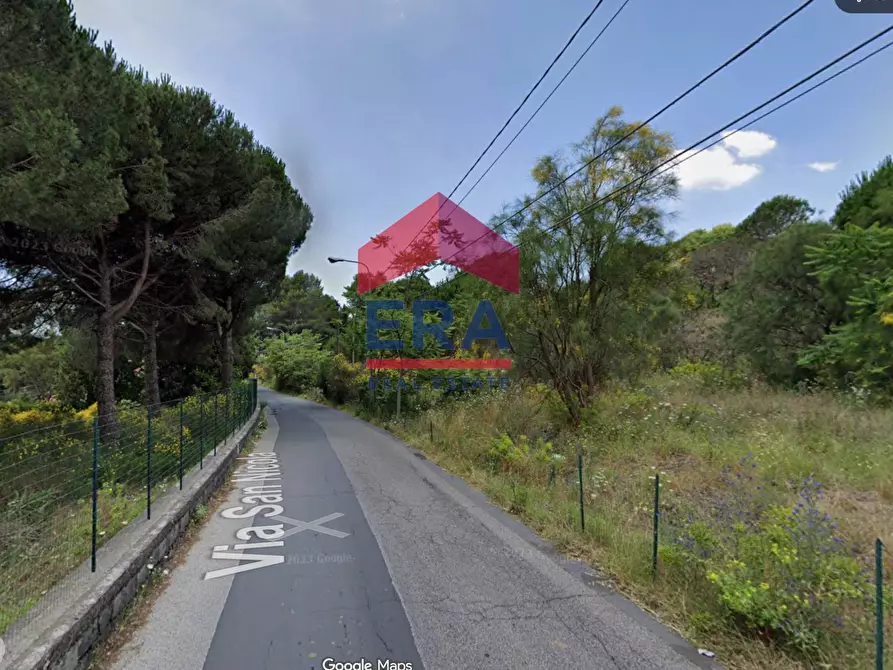 Immagine 8 di Terreno agricolo in vendita  in Via San Nicola a Nicolosi