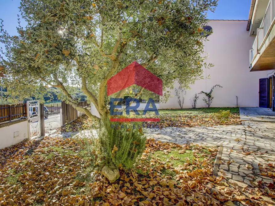 Immagine 24 di Appartamento in vendita  in Via Cincinnato 6 a Pomezia