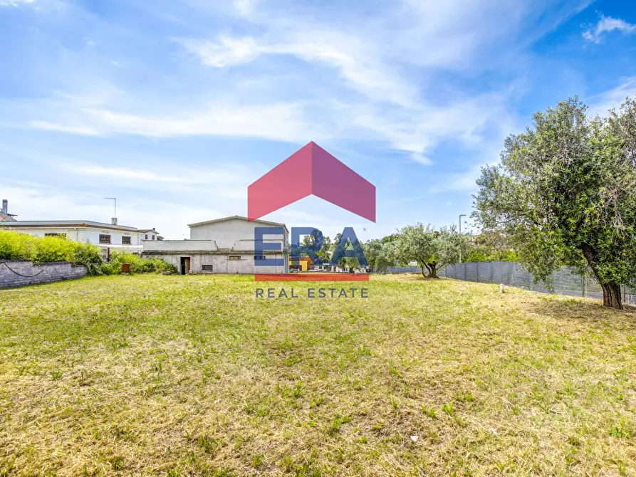 Immagine 9 di Locale commerciale in vendita  in via dei peschi a Ardea