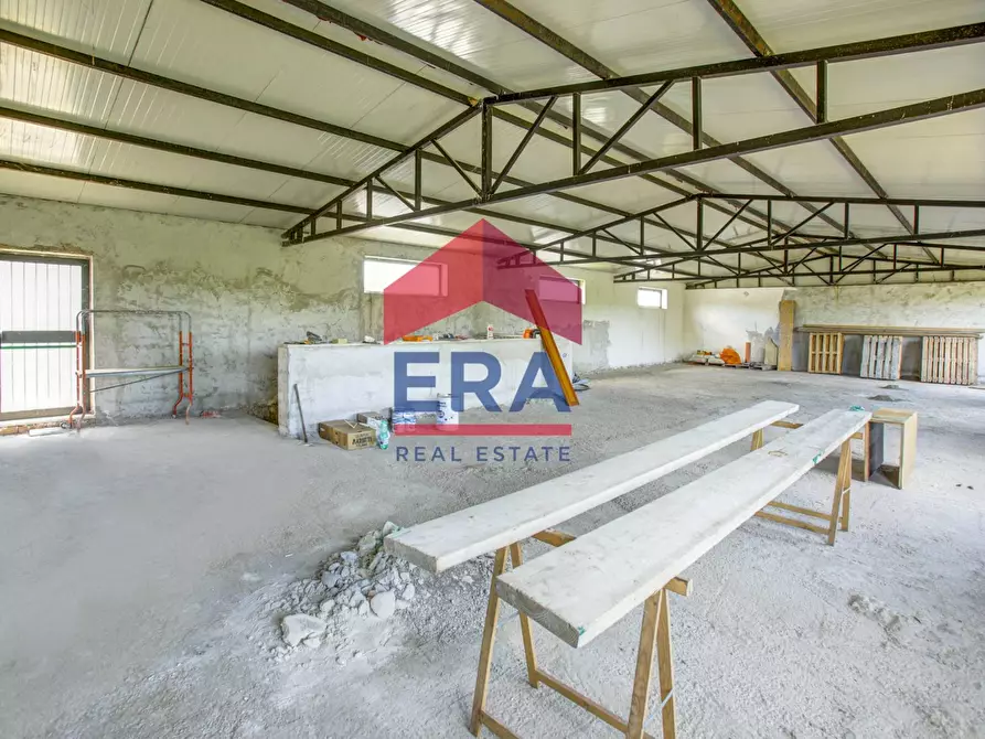 Immagine 18 di Locale commerciale in vendita  in via dei peschi a Ardea