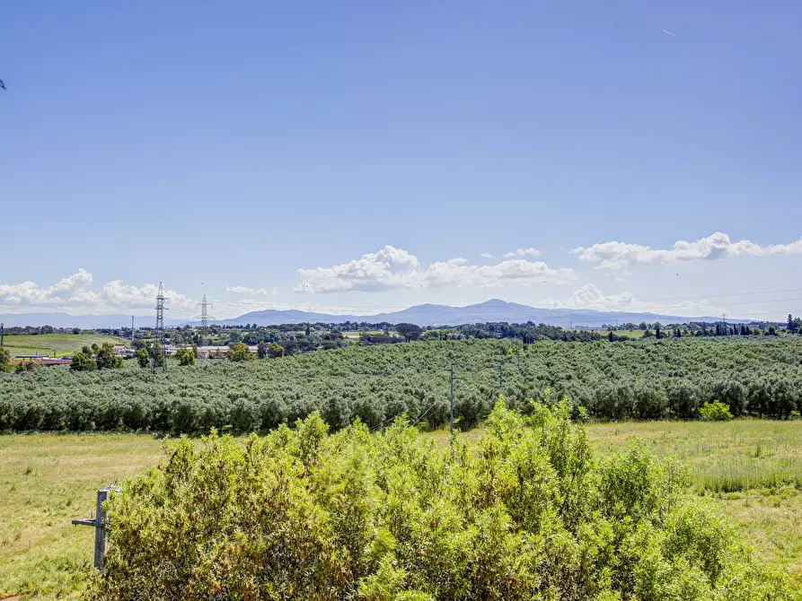 Immagine 10 di Attico in vendita  in Via Renato Caccioppoli 310 a Roma
