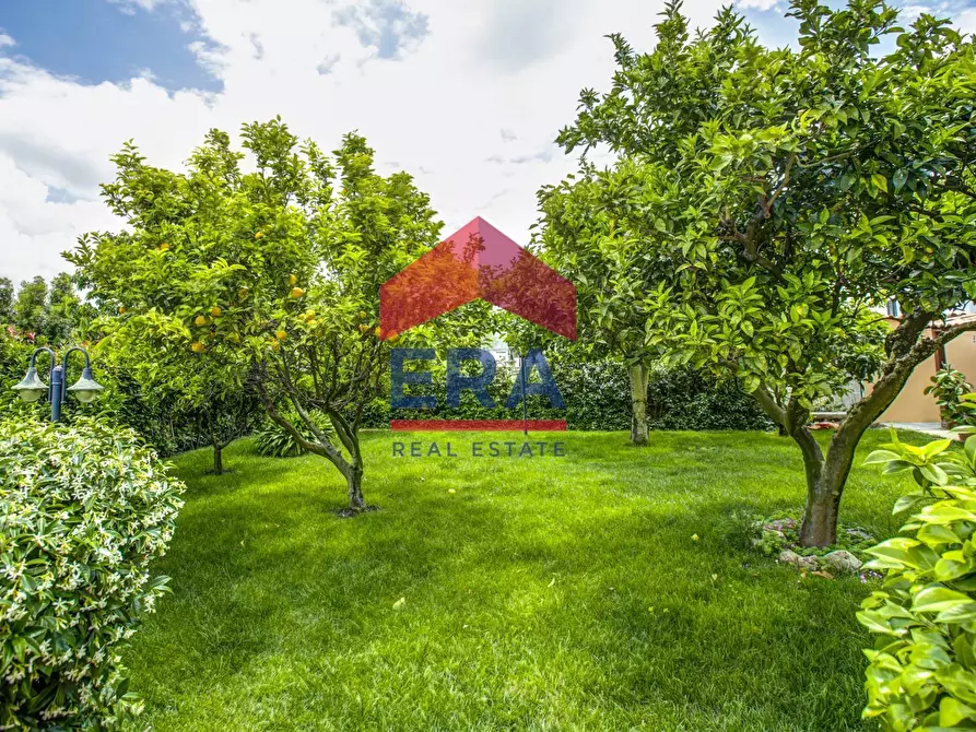 Immagine 18 di Appartamento in vendita  in Via delle Gardenie 24 a Pomezia