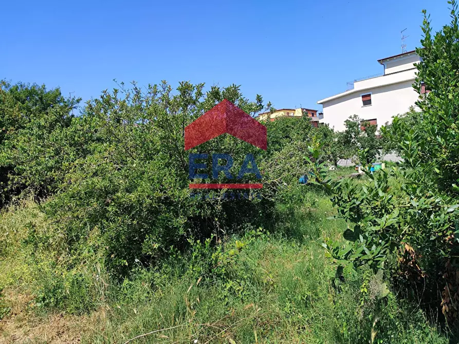 Immagine 2 di Terreno residenziale in vendita  in Via Cremosano 21 a Roma