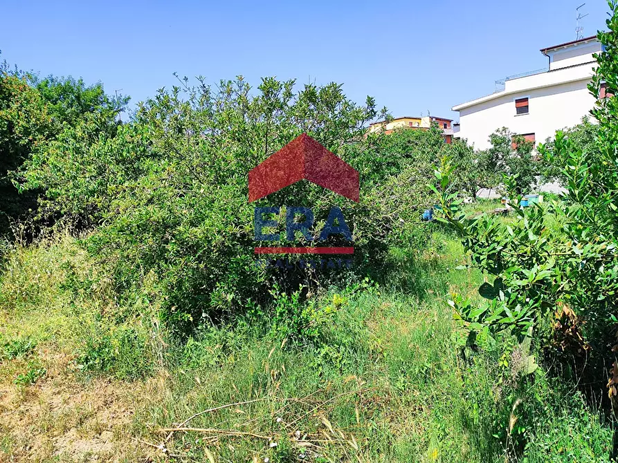 Immagine 3 di Terreno residenziale in vendita  in Via Cremosano 21 a Roma