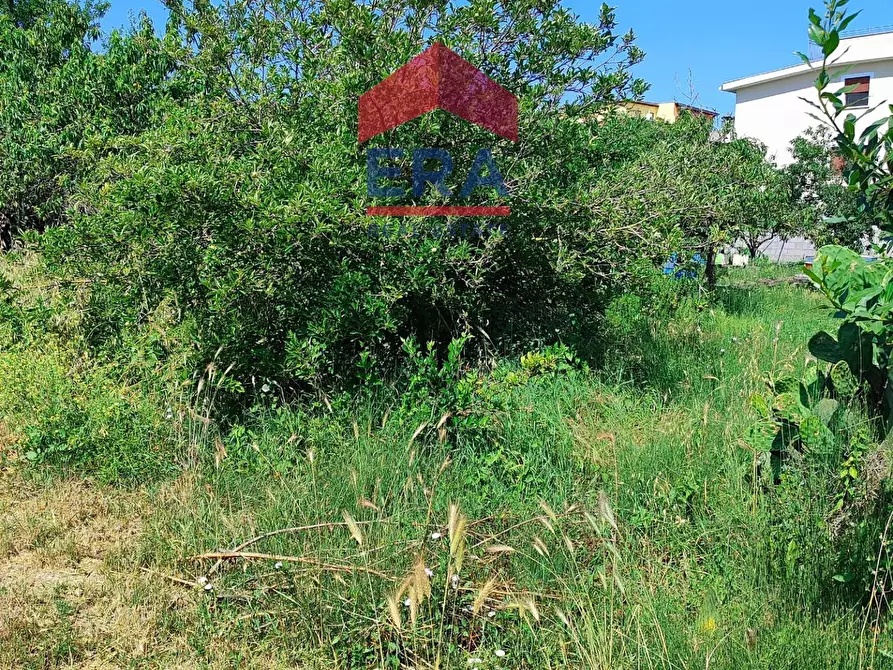 Immagine 4 di Terreno residenziale in vendita  in Via Cremosano 21 a Roma