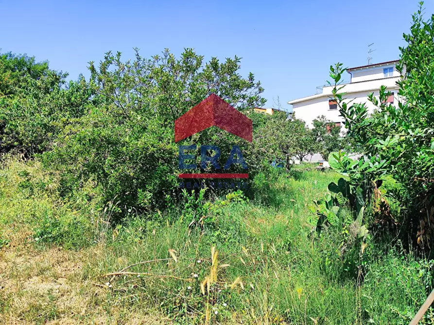 Immagine 5 di Terreno residenziale in vendita  in Via Cremosano 21 a Roma