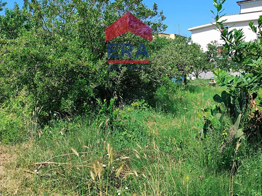 Immagine 6 di Terreno residenziale in vendita  in Via Cremosano 21 a Roma