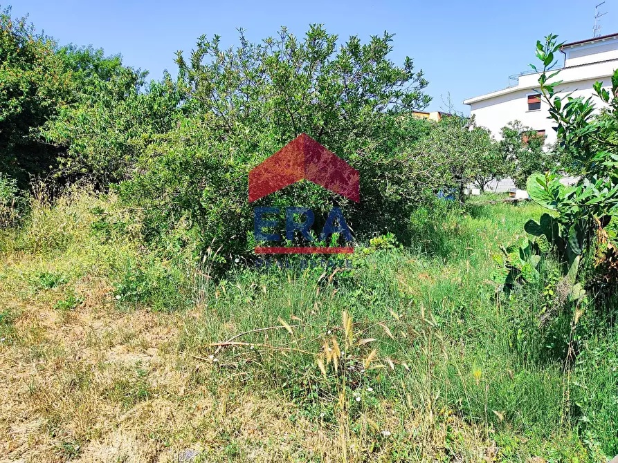 Immagine 9 di Terreno residenziale in vendita  in Via Cremosano 21 a Roma