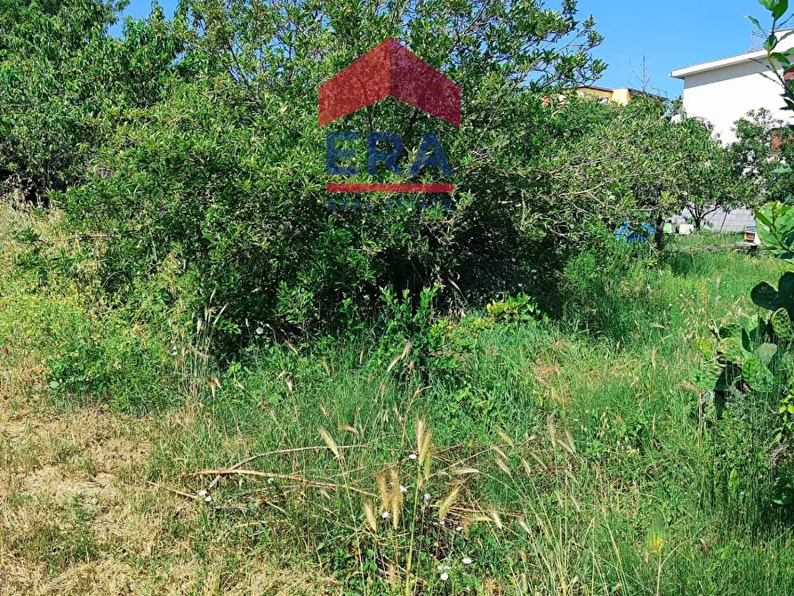 Immagine 11 di Terreno residenziale in vendita  in Via Cremosano 21 a Roma