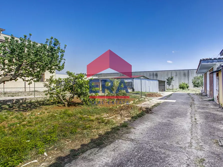 Immagine 33 di Rustico / casale in vendita  in Via dei Castelli Romani 110 a Pomezia