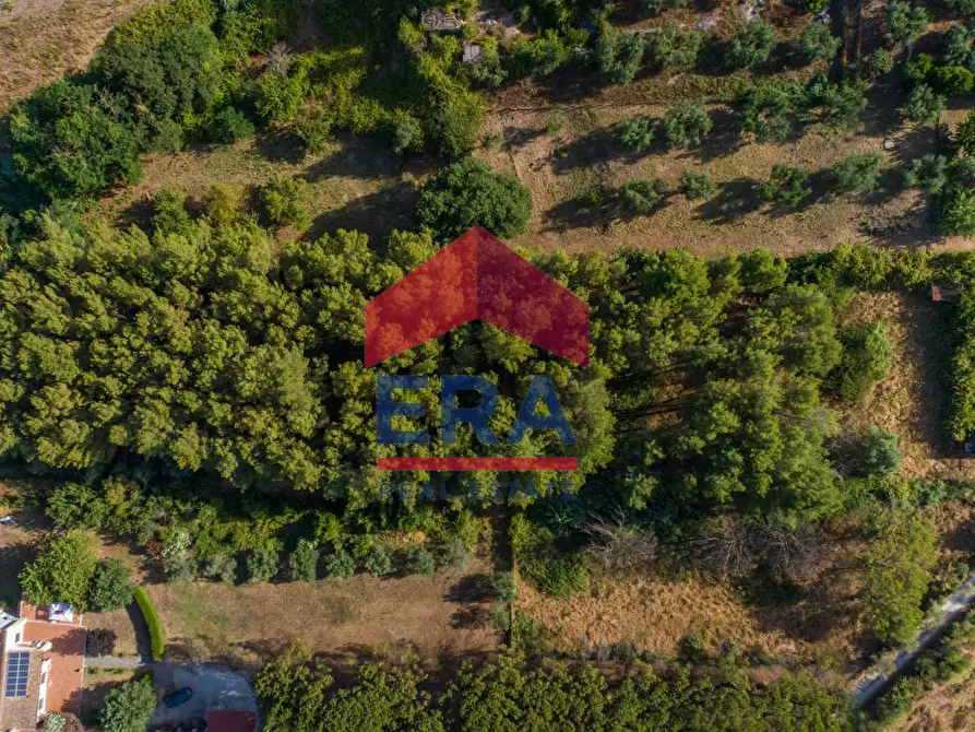 casa indipendente in vendita a Formello