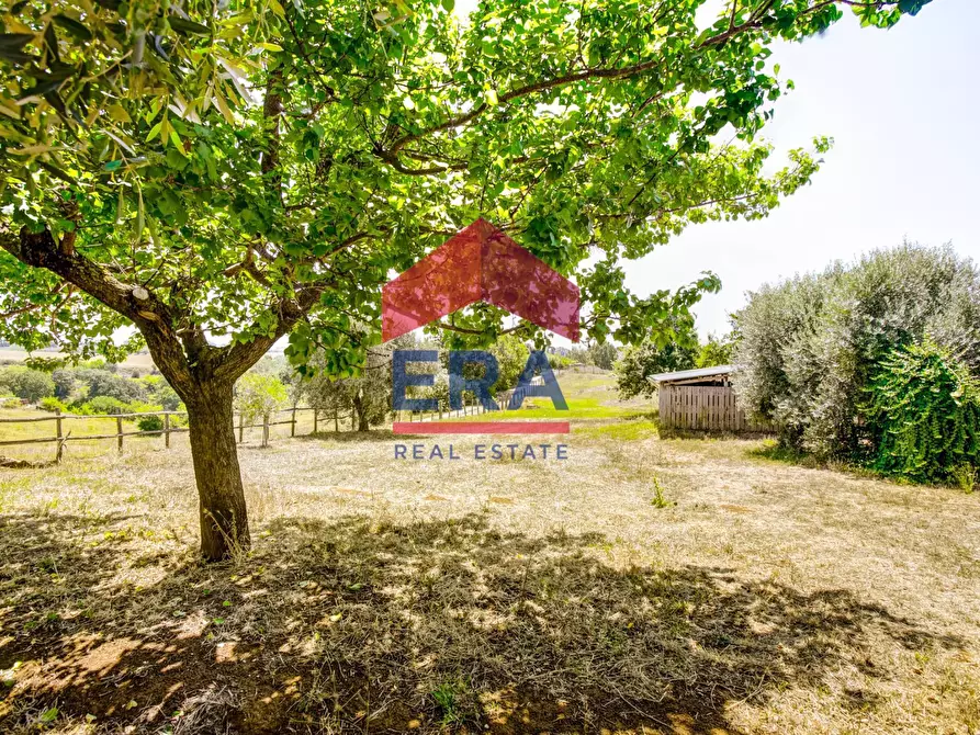 Immagine 23 di Villa in vendita  in Via E.Torricelli 6 a Pomezia