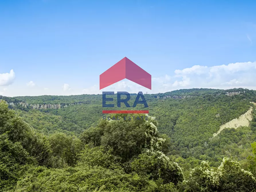 Immagine 30 di Casa indipendente in vendita  in Via Vittorio Emanuele III 1 a Soriano Nel Cimino