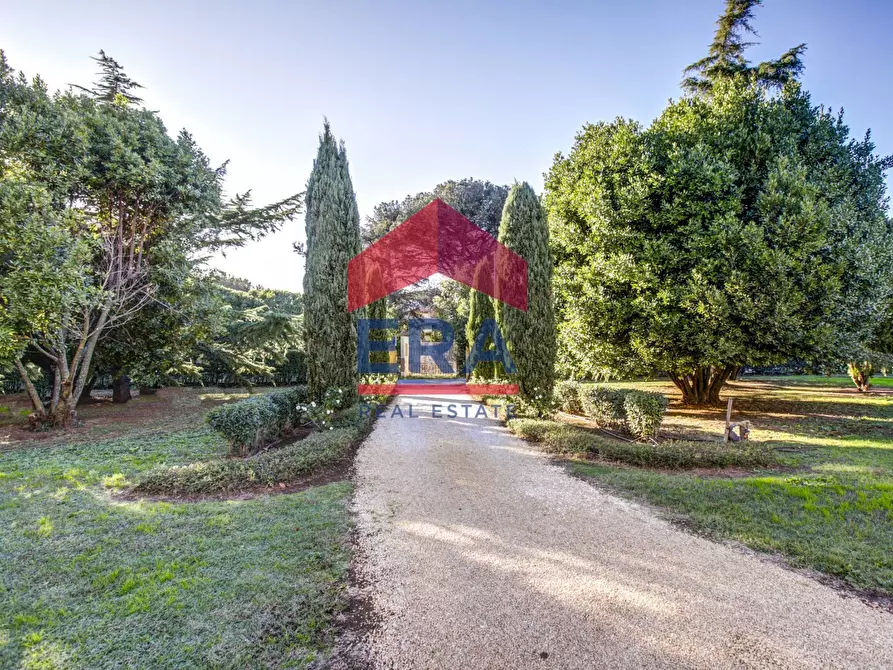 Immagine 6 di Rustico / casale in vendita  in Via Delle Monachelle 76 a Pomezia