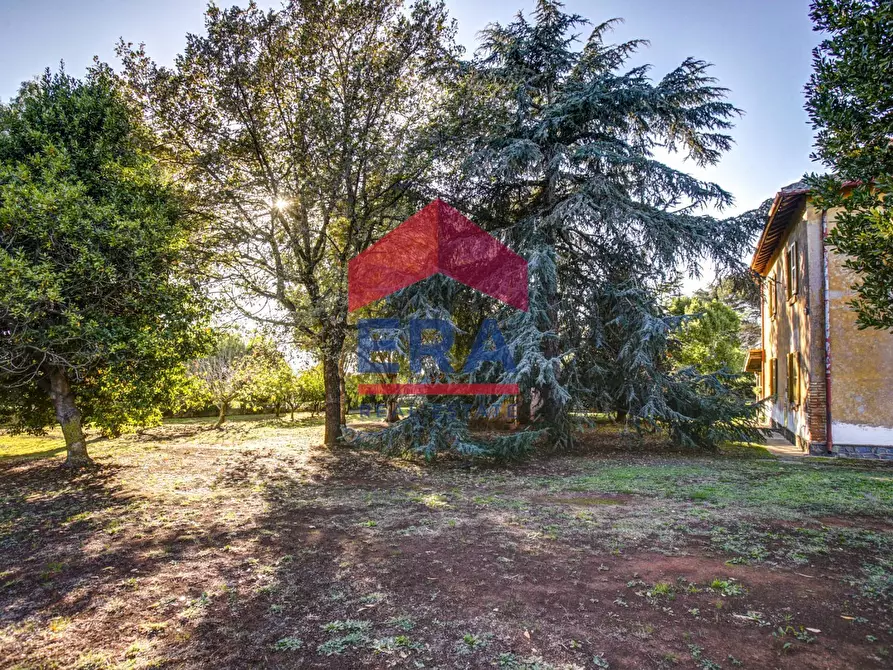 Immagine 7 di Rustico / casale in vendita  in Via Delle Monachelle 76 a Pomezia