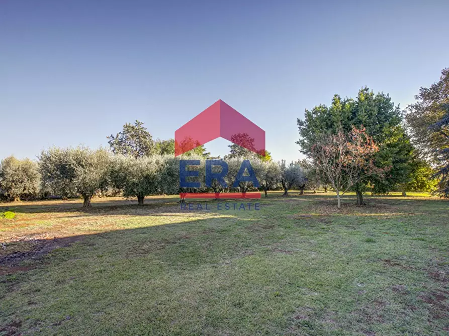 Immagine 29 di Rustico / casale in vendita  in Via Delle Monachelle 76 a Pomezia