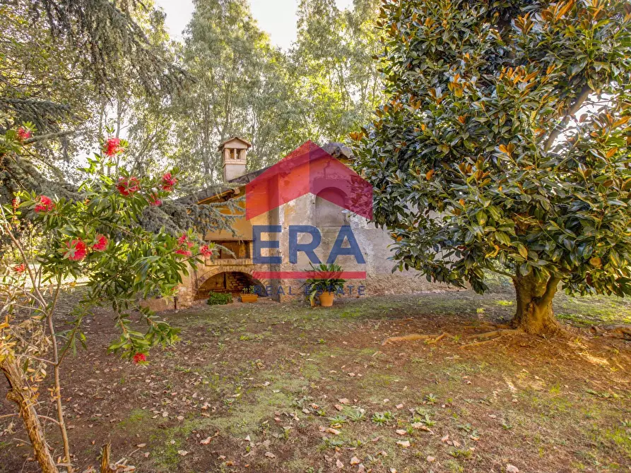 Immagine 30 di Rustico / casale in vendita  in Via Delle Monachelle 76 a Pomezia