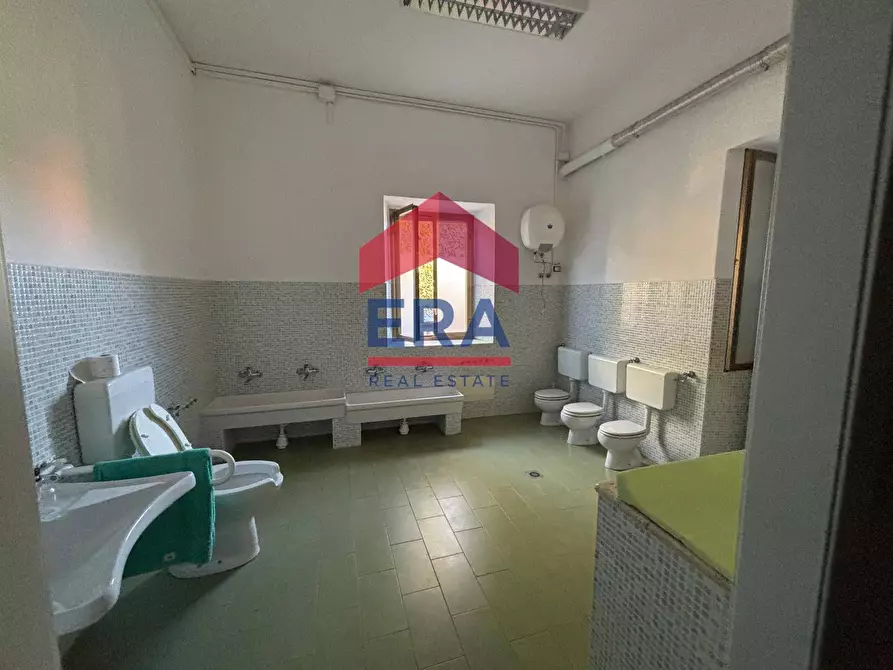 Immagine 14 di Ufficio in affitto  in via della Folgarella 88 a Ciampino