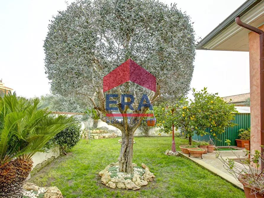 Immagine 23 di Villa in vendita  in Via Assisi 63 a Ardea