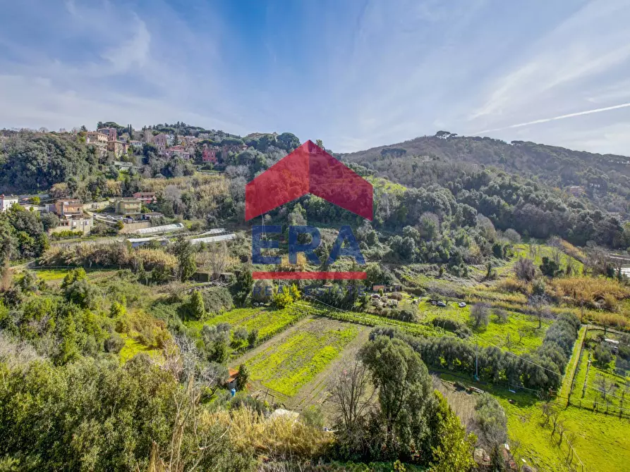 Immagine 15 di Villa in vendita  in Strada Nuova 116 a Ariccia