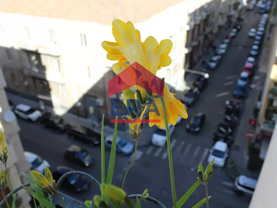 Immagine 12 di Camera in affitto  in via pasubio 17 a Catania