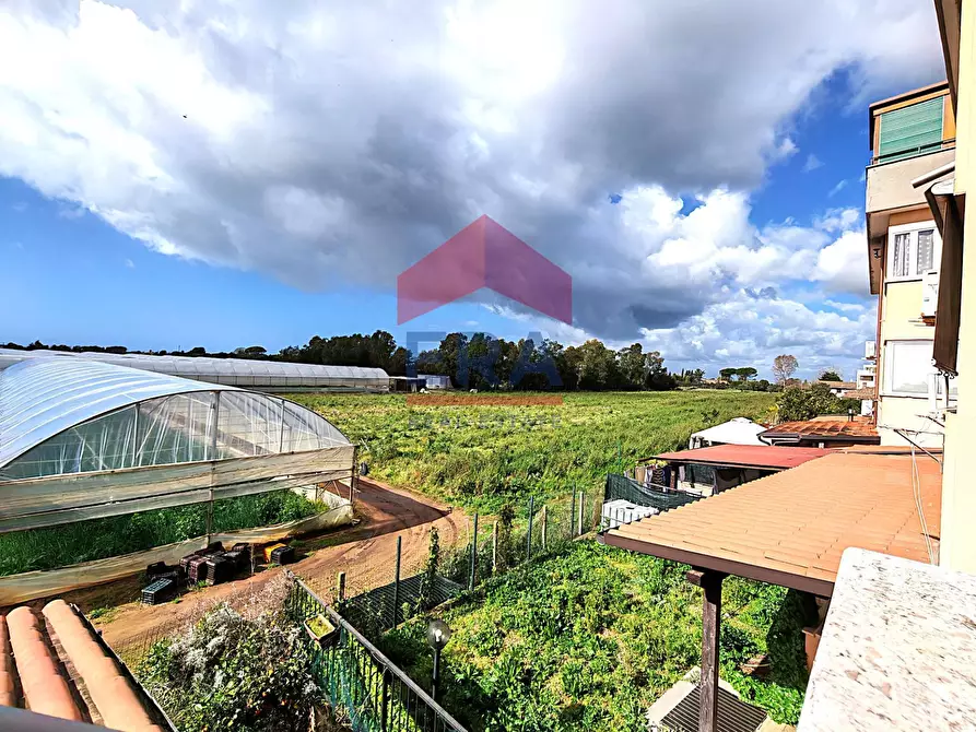 Immagine 27 di Appartamento in vendita  in Via Taglio delle Cinque Miglia 11 a Nettuno