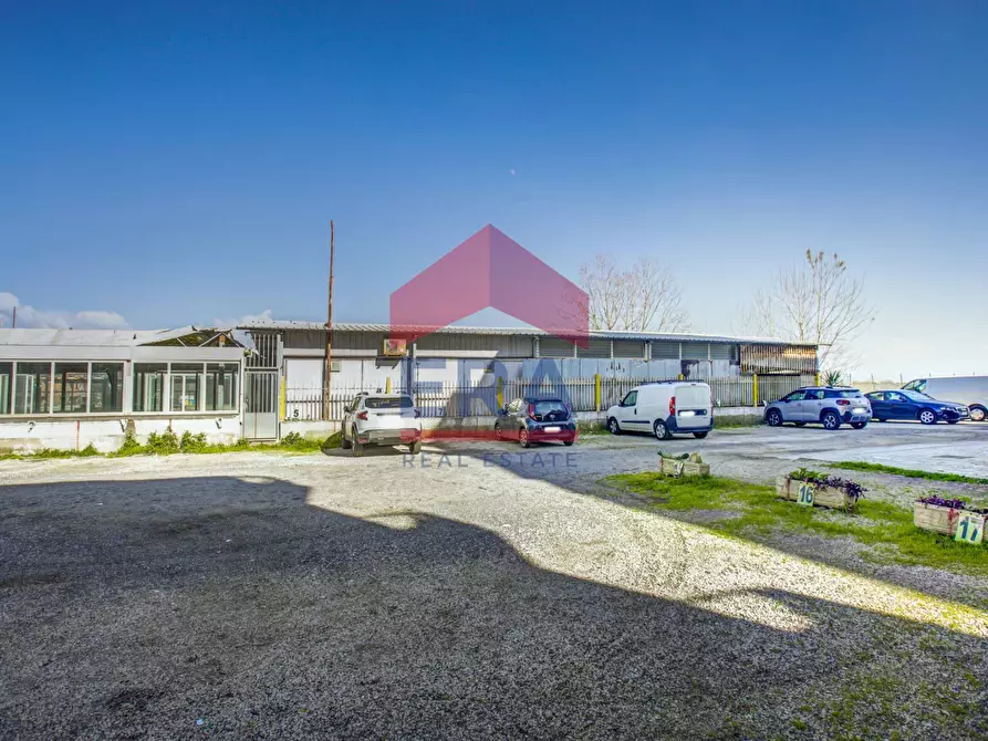 Immagine 18 di Appartamento in vendita  in Viale Danimarca 48 a Pomezia