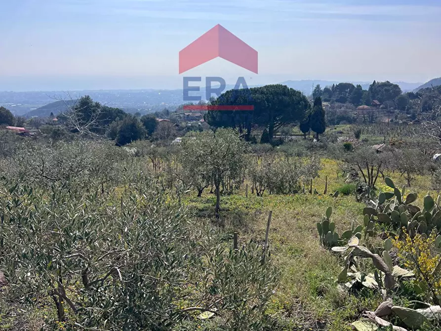 Immagine 2 di Terreno agricolo in vendita  in Via carpene 33 a Trecastagni