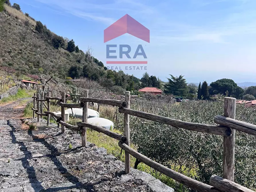 Immagine 7 di Terreno agricolo in vendita  in Via carpene 33 a Trecastagni