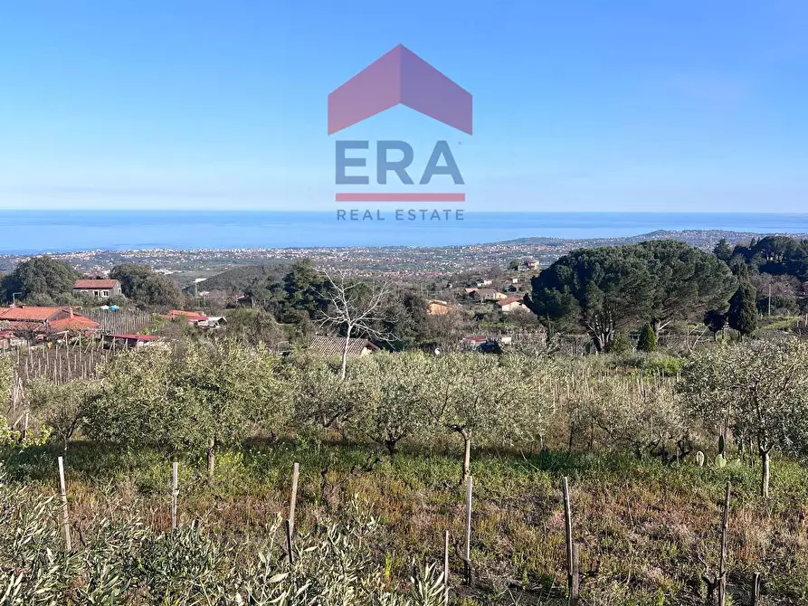 Immagine 8 di Terreno agricolo in vendita  in Via carpene 33 a Trecastagni