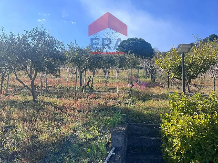 Immagine 10 di Terreno agricolo in vendita  in Via carpene 33 a Trecastagni