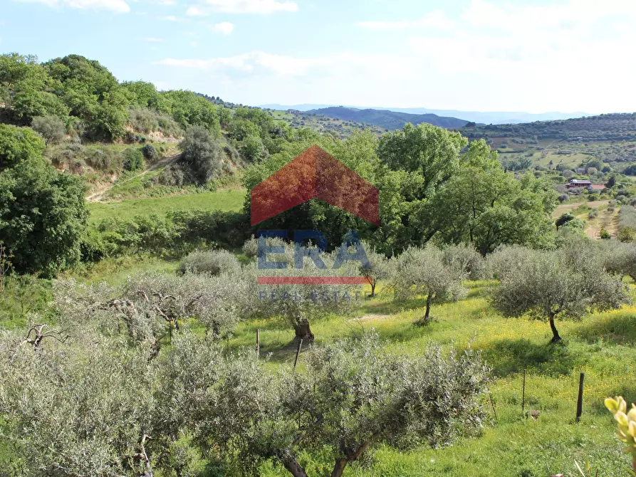 Immagine 7 di Villa in vendita  in CONTRADA URSELLUZZO SNC a Agira