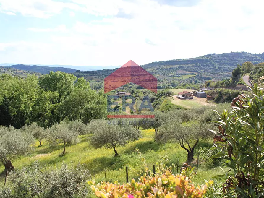 Immagine 5 di Villa in vendita  in CONTRADA URSELLUZZO SNC a Agira