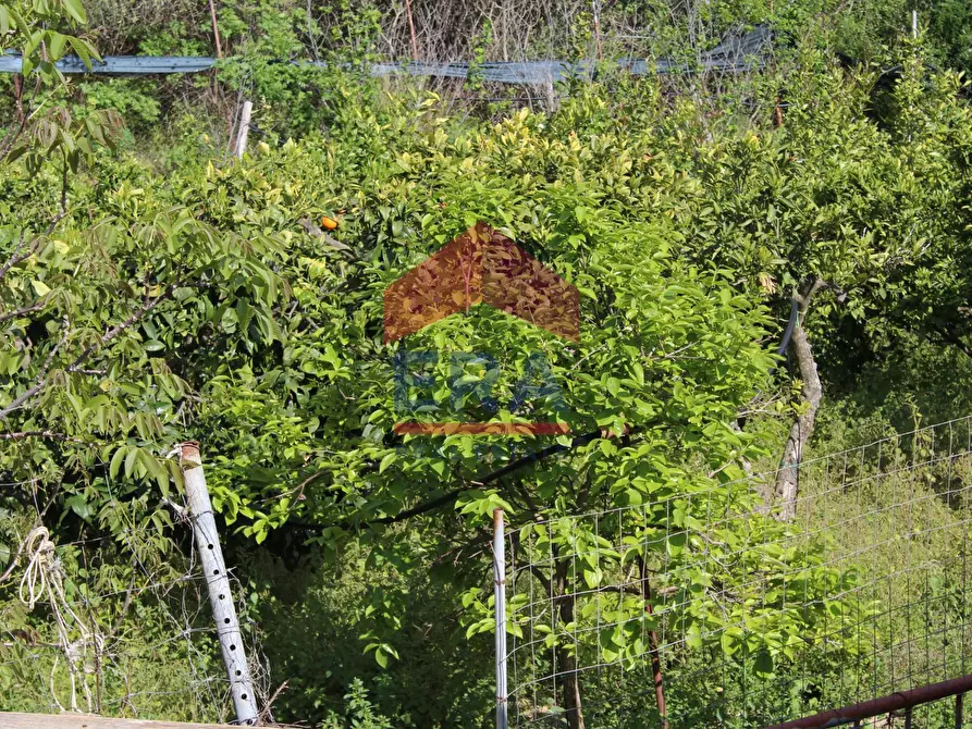 Immagine 21 di Villa in vendita  in CONTRADA URSELLUZZO SNC a Agira