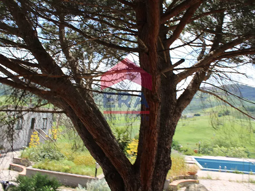Immagine 65 di Agriturismo in vendita  in contrada portelle a Gangi